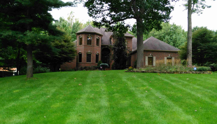 Residential Landscaping Customer - Edmore Michigan jack miller home landscaping testimonial montcalm county michigan