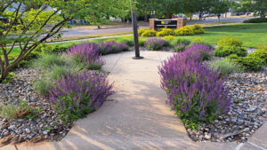 Commercial Maintenance residential landscaping six lakes michigan