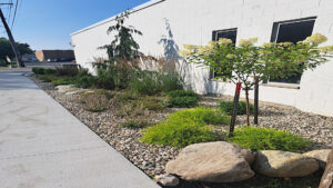 Commercial Midland MI commercial landscaping public space stanton mi