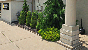 Commercial Maintenance Commercial Project Mt. Pleasant, MI