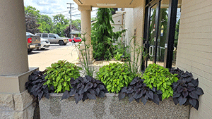 Residential Landscaping Residential Landscaping